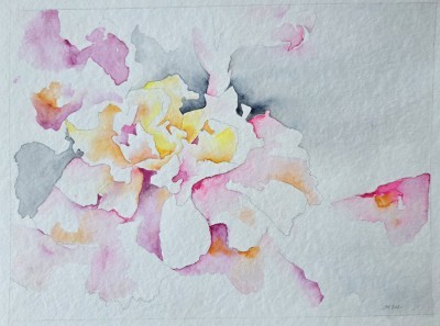 Aquarellbild einer abstrakten  Pfingstrose in Rosa- und Blautönen